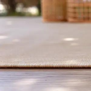 Ecology Collection Outdoor Rugs in Beige  500Be