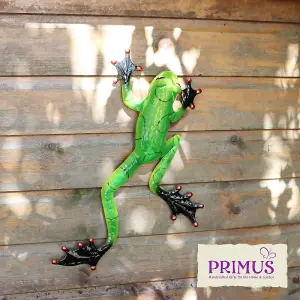 Primus Green Frog Metal Wall Art