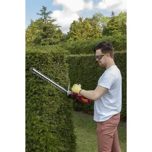 Sealey Hedge Trimmer Cordless 20V SV20 Series with 2Ah Battery & Charger CHT20VCOMBO2