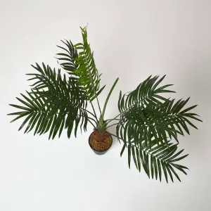 Homescapes Green Mini Palm Tree Artificial Plant with Pot, 70 cm