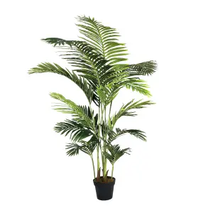 Blooming Artificial - 170cm / 5.5ft Artificial Paradise Palm