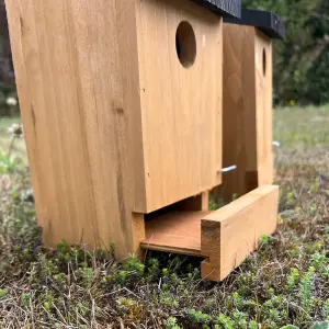 Traditional Wooden Bird Nest Box Birdhouses with Removable Bases (Set of 4)