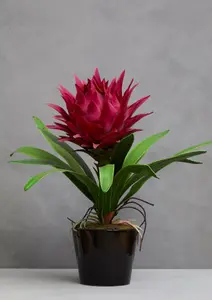 Pink Tropical Plant with Black Ceramic Pot Artificial Plant Foliage