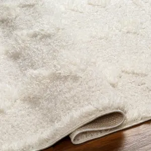 EAHEH Boho Shaggy Area Rug 120 x 170 cm