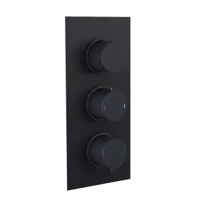 2-Way Overhead Rainfall Shower and Matte Black Raiser Rail with Handset Set