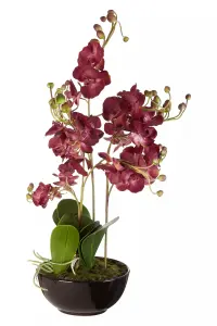 Fiori Purple Orchid Plant Artificial Plant Foliage