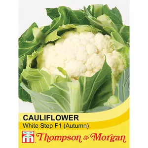 Cauliflower White Step F1 Hybrid 1 Seed Packet (30 Seeds)