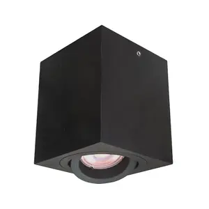 Luminosa Modern Surface Mounted Black 1 Light , GU10