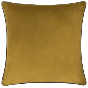 Paoletti Meridian Velvet Polyester Filled Cushion