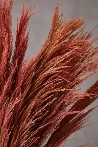 Fiori Pink Stem Pampas Grass Artificial Plant Foliage