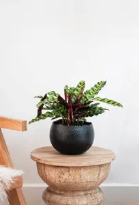 Hammered Bowl Black/Copper 30Cm