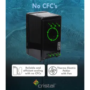 Cristal 16L Compact Mini Cooler Fridge with Built-in 12V Adapter - Black