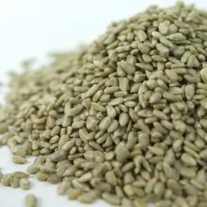 25kg SQUAWK Sunflower Hearts - Bakery Grade Seed Kernels No Mess Wild Bird Food