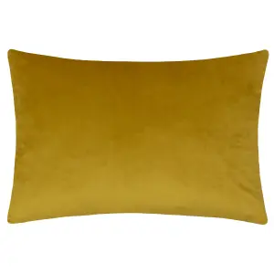 Paoletti Keela Cut Velvet Polyester Filled Cushion