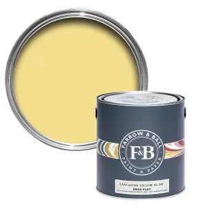 Farrow & Ball Dead Flat Mixed Colour 249 Lancaster Yellow 2.5 Litre