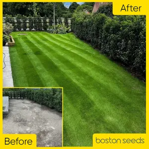 Boston Seeds BS Quality Fine Lawn Seed (1 x 2kg)