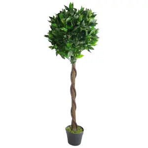 120cm (4ft) Twist Natural Trunk Artificial Topiary Bay Laurel Ball Tree