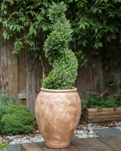 Terracotta Plant Pot 48 cm Brown PYRUS