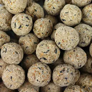 100 x SQUAWK Suet Fat Balls - Wild Garden Bird Food High Energy Year Round Feed Treats