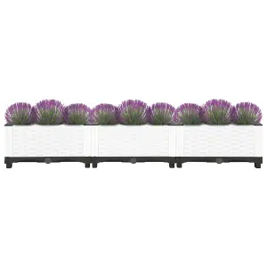 Berkfield Raised Bed 120x40x23 cm Polypropylene