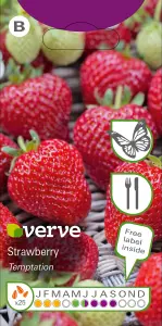 Verve Strawberry temptation Fruit seeds