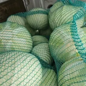 Strong Net Woven Sacks Wood Log Logs Kindling Vegetables Mesh Bags - 45cm x 60cm Green 200 pack