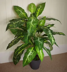 100cm Large Fox's Aglaonema (Spotted Evergreen) Tree Artificial Plant