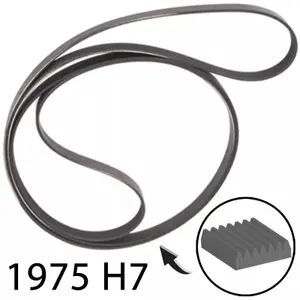 SPARES2GO Poly-V Drive Belt for Electrolux Tumble Dryer 1975 H7 1975mm 7 Rib 1975H6a