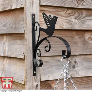 King Swallow Garden Wall Bracket Black Decorative Sturdy Metal Bracket for Hanging Baskets Bird Decoration with Wall Fixings x2