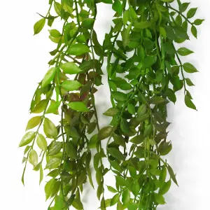 6 x 100cm Hanging Pearls Fern Plant Dark Green