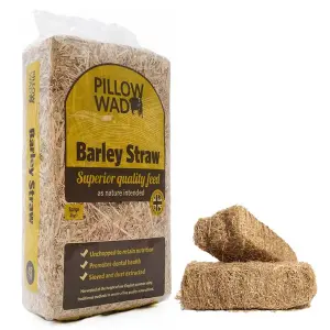 1 Bag 2kg Un-Chopped Soft Barley Straw Bedding For Animals Retains Nutrition Ideal For Chickens, Rabbits & Tortoise