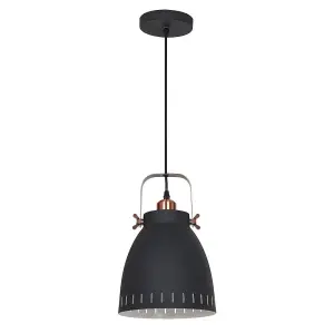 Luminosa Industrial And Retro Hanging Pendant Graphite, Red Copper 1 Light  with Graphite Shade, E27