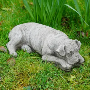 Boxer Dog Stone Statue Outdoor Garden Ornament British Made Puppy Sculpture