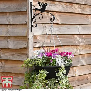 King Swallow Outdoor Garden Bracket Black Decorative Sturdy Metal Bracket for Hanging Baskets Bird Decoration with Wall Fixings x4