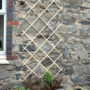 2ft x 6ft Home and Garden Expanding Wooden Garden Trellis - Robust Climbing Plant & Vegetable Support