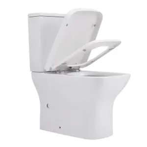 White 2-Piece Simple Elongated Square Toilet with Dual Flush