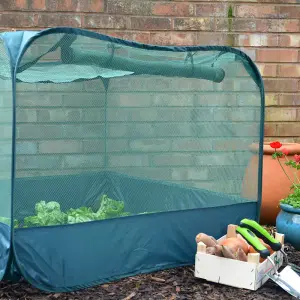 GardenSkill Pop Up Strawberry & Salad Fruit Cage Bird Netting Pest Protection Cover 1.25m x 0.75m H