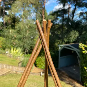 Pair of Expanding Willow Garden Obelisks (1.5m)