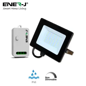 ENER-J 30W LED Flood light Pre Wired with ECO Series 500W Non Dimmable RF receiver