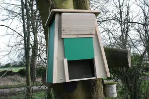 Barn Owl Box Handmade in Our UK Workshop