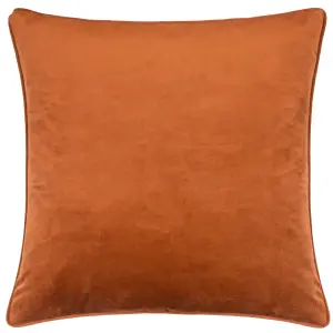 Evans Lichfield Opulence Soft Velvet Feather Rich Cushion