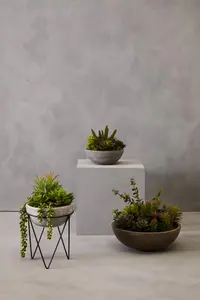 Fiori Mixed Succulent with Metal Stand Artificial Plant Foliage