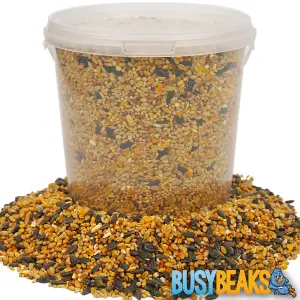 2.5L BusyBeaks Year Round Mixture - Nutritious Garden Bird Seed Food For Wild Birds