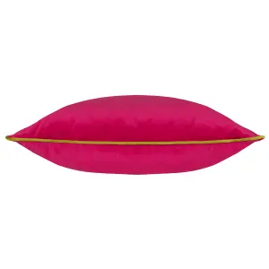 Paoletti Meridian Velvet Piped Feather Filled Cushion