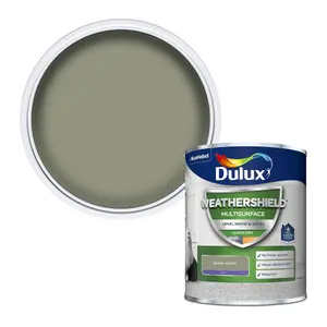 Dulux Weathershield Green Glade Satinwood Multi-room Multi-surface paint, 750ml