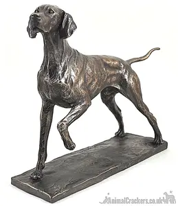 Pointer dog figurine in solid cold cast bronze designed by David Geenty