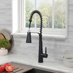 Pre-rinse Pull Down Black Kitchen Faucet 304 Stainless Steel and Brass