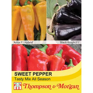 Pepper (Sweet) Tasty Mix All Season 1 Seed Packet  (6 Seeds)