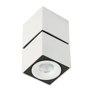 Luminosa Modern Technical LED Surface Mounted White, Black, Warm White 3000K 2350lm