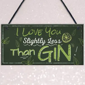 Red Ocean Novelty GIN Friendship Hanging Plaque